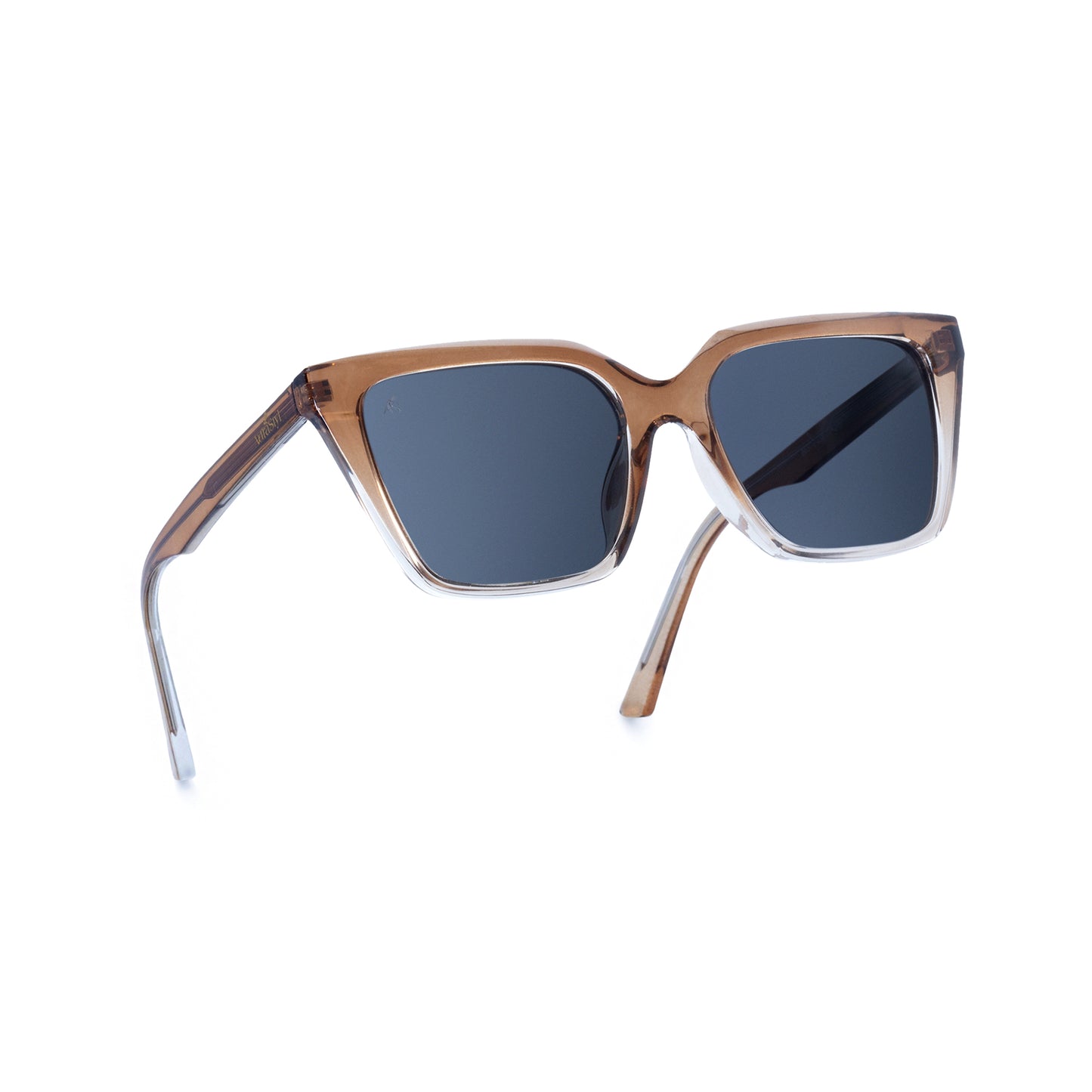 AS2403 Unisex Polarized Sunglasses